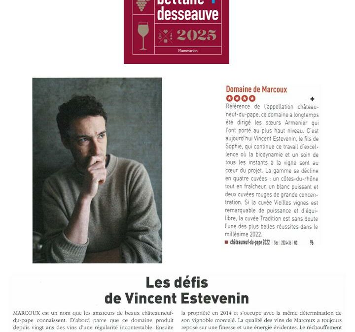 Le nouveau bettane + desseauve 2025