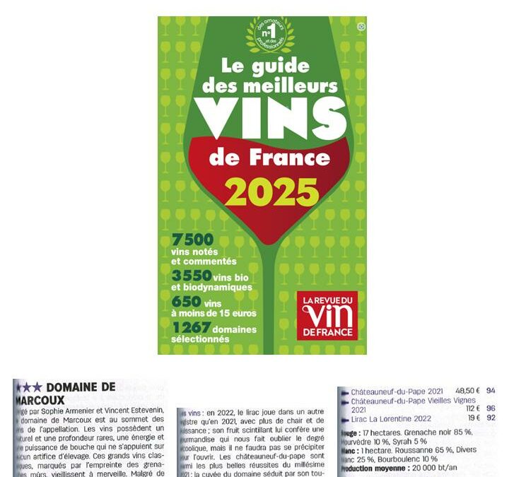 Guide des Meilleurs Vins de France 2025- Revue du Vin de France